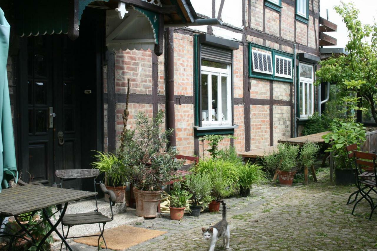 Apartments Cafe Brennnessel Veltheim Buitenkant foto